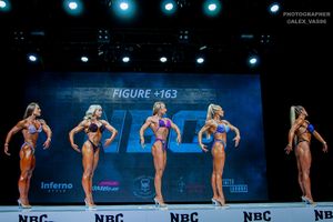 FIGURE +163